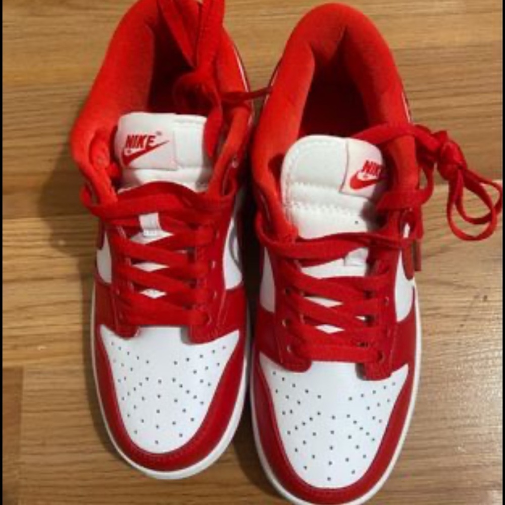 Nike university red dunks